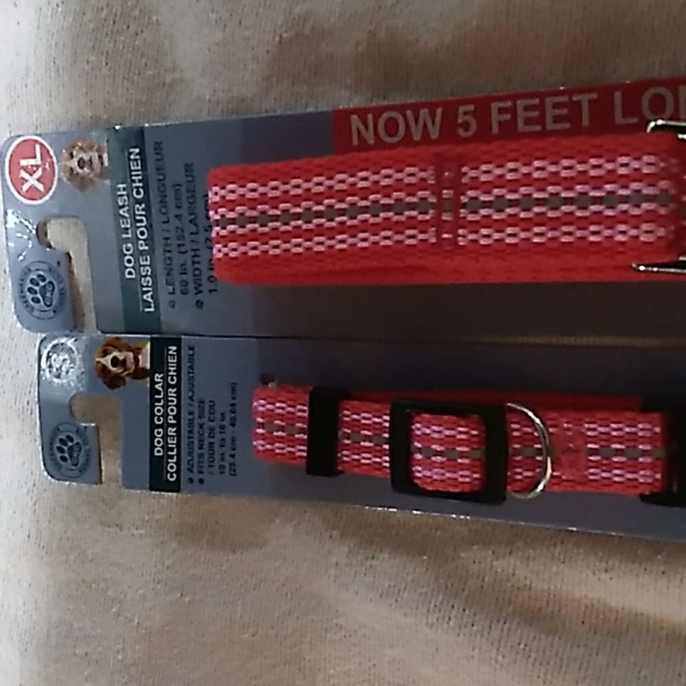 Dog collar and Leash